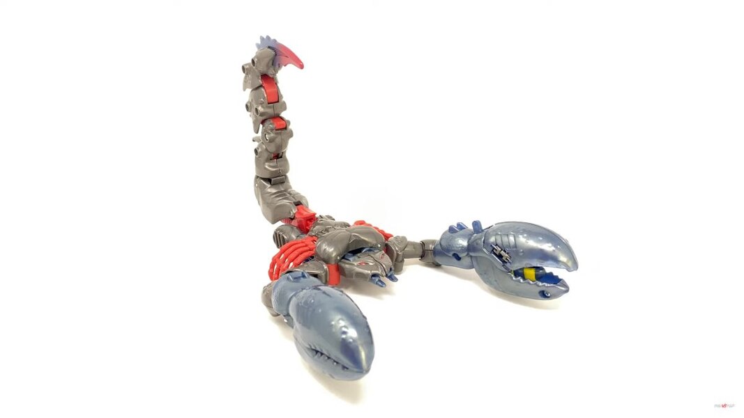 Transformers Beast Wars SCORPONOK Reissue In Hand Images  (10 of 23)